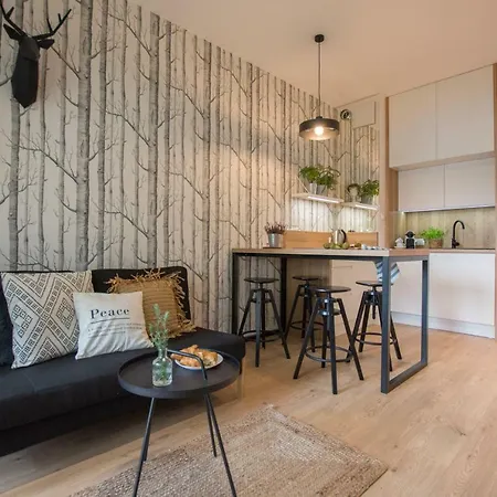 Apartman Rakowicka - Free Parking *