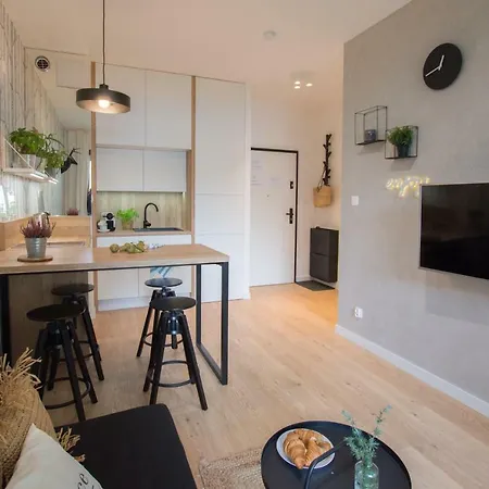 Rakowicka - Free Parking 公寓